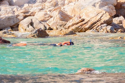 Paseo en bote con fondo de cristal por Cabo San Lucas hasta el famoso Arco — photo 13