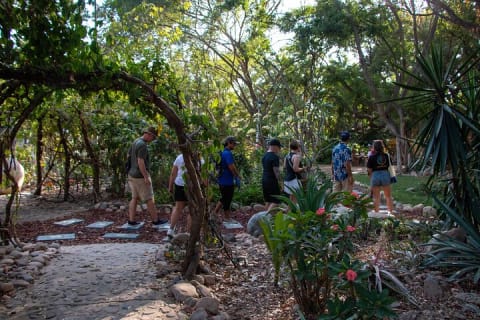 Visite à pied authentique : trésors cachés de Puerto Vallarta — photo 10