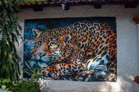 Visite à pied authentique : trésors cachés de Puerto Vallarta — photo 11