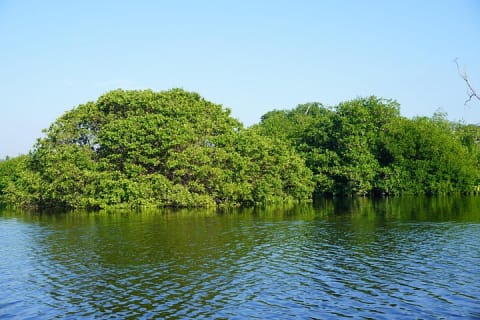 Reptile Eco Tour in Oaxacas Coastal Communities — photo 5