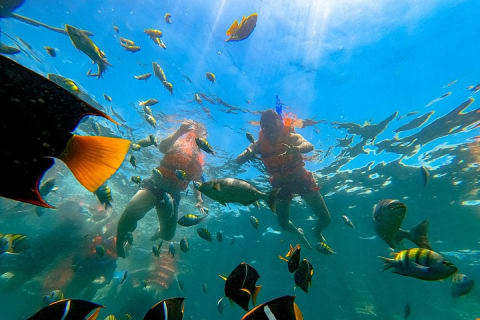 Tour Yelapa and Majahuitas with Lunch and Open Bar — photo 2