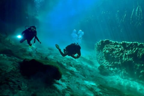 Discover Scuba Diving at Casa Cenote No Certification Needed — photo 2