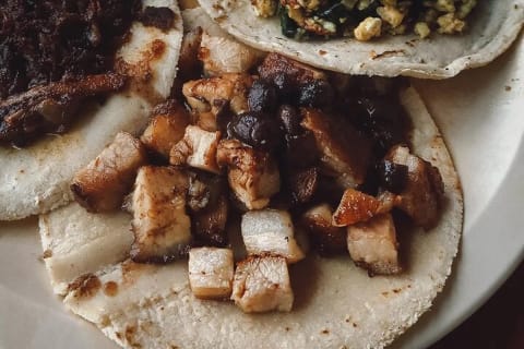 Tour de degustación de cocina yucateca en Mérida — photo 8