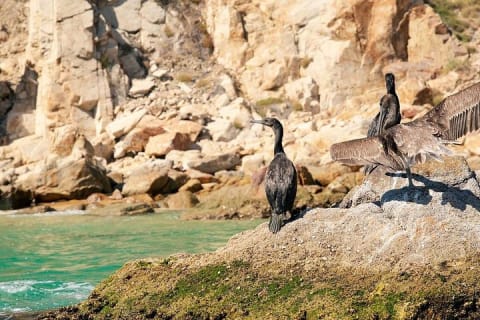 Aventura en bote transparente y tour por la ciudad de Cabo San Lucas — photo 13