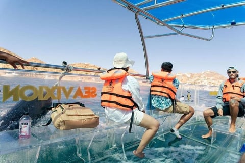 Aventura en bote transparente y tour por la ciudad de Cabo San Lucas — photo 8