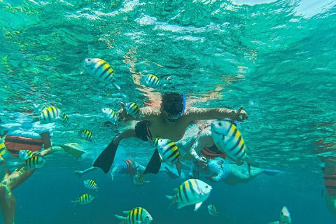 All-Inclusive Catamaran Cruise Deluxe Tour to Isla Mujeres — photo 10