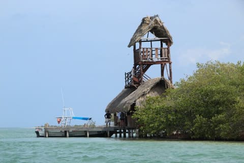 Holbox Paradise Experience — photo 4