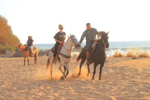 Horseback Riding in Sayulita — photo 10