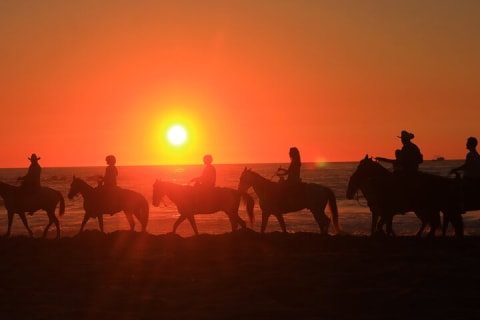 Horseback Riding in Sayulita — photo 13