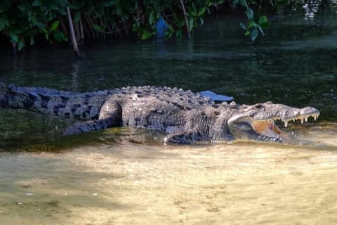 Sian Kaan Reserve Bike Tour & Fishing at Crocodile Bridge & Meal — photo 1