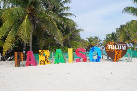 Snorkel Tulum: 2 reef point, 1 hour 20 minutes tour — photo 13