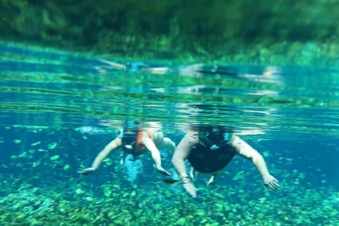 Cenote and Swimming with Turtles Private Tour in Akumal — photo 11
