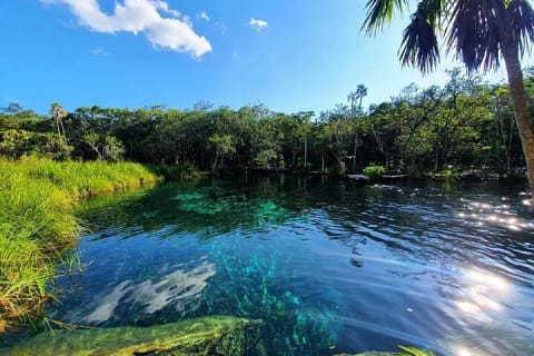 Explore Tulum Tour to Cenote and Ruins — photo 7