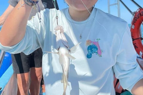 Holbox: Fishing Snorkeling in Cabo Catoche with Ceviche — photo 4