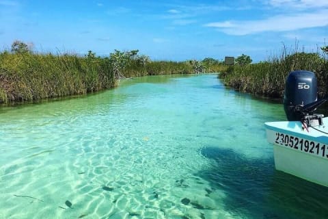 Tulum Boat Tour Sian kan muyil — photo 2