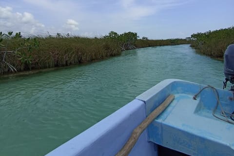 Tulum Boat Tour Sian kan muyil — photo 3