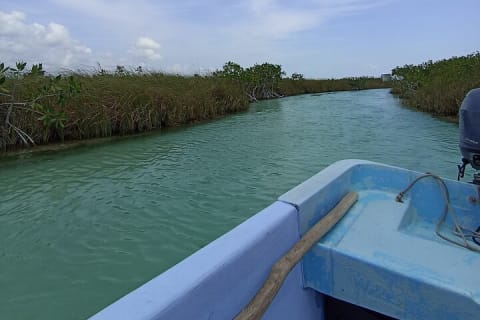 Tulum Boat Tour Sian kan muyil — photo 11