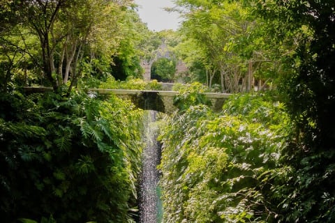Excursion à Uxmal avec hacienda Mucuyché incluse — photo 3