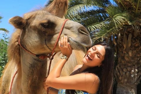 Safari à dos de chameau et expérience gastronomique à Los Cabos — photo 1