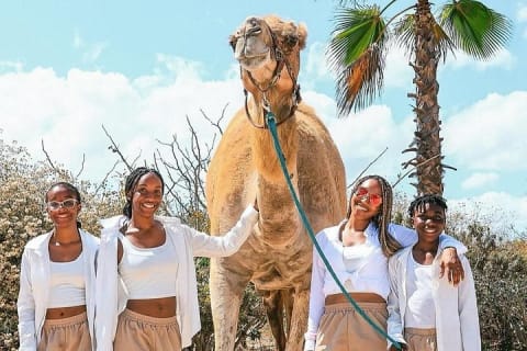 Safari à dos de chameau et expérience gastronomique à Los Cabos — photo 3