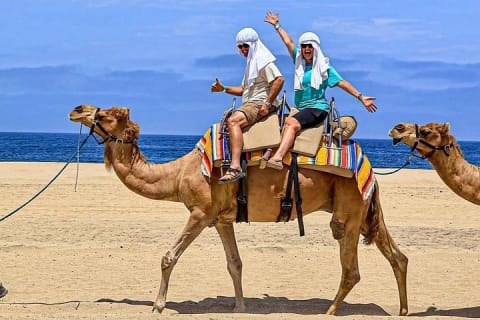 Safari à dos de chameau et expérience gastronomique à Los Cabos — photo 4
