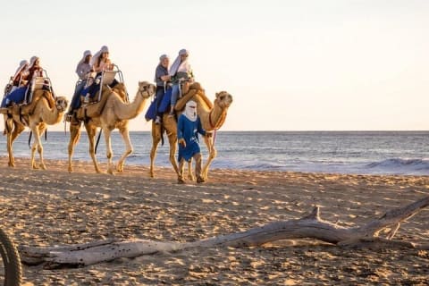 Safari à dos de chameau et expérience gastronomique à Los Cabos — photo 5