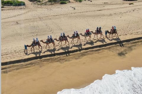 Safari à dos de chameau et expérience gastronomique à Los Cabos — photo 7