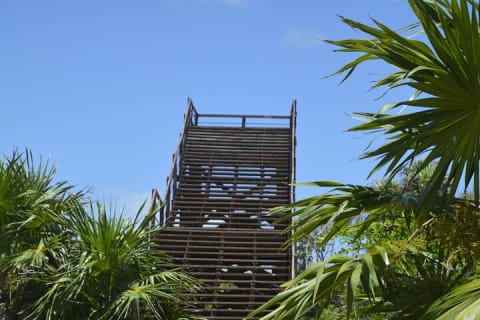 TULUM Jaguar Park Day Pass — photo 2