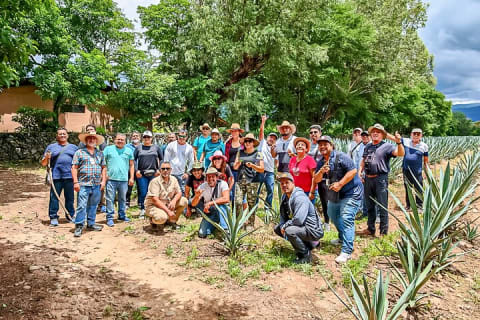 Mascota Magic Town: Private Day Trip from Puerto Vallarta — photo 6