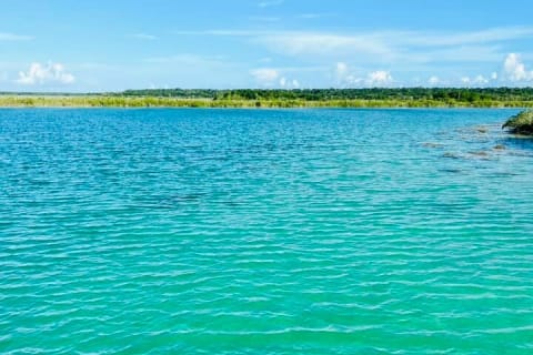 Private Transfer from Tulum to Bacalar with Optional Stop — photo 6