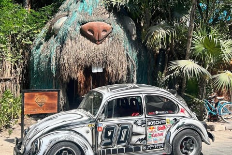 Private VW Beetle Tour Swim with Turtles, Visit Tulum Ruins&Town — photo 11