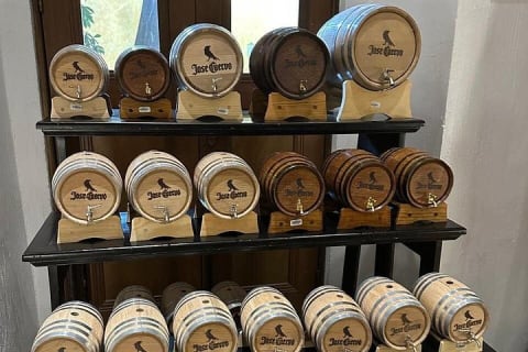 Tequila Experience History Flavor and Tradition — photo 3
