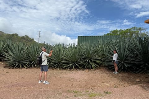 Tour a San Sebastián del Oeste: café, tequila y encanto colonial — photo 4