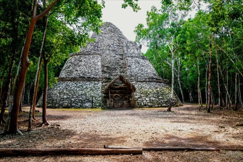 Tulum Airport Private Transfer to Hotels and Airbnbs — photo 15