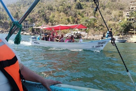 Private Bay Tour and Snorkeling — photo 8