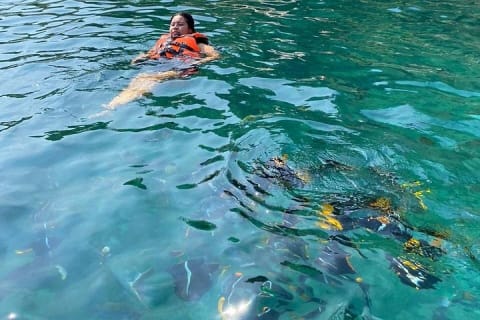 Private Bay Tour and Snorkeling — photo 9