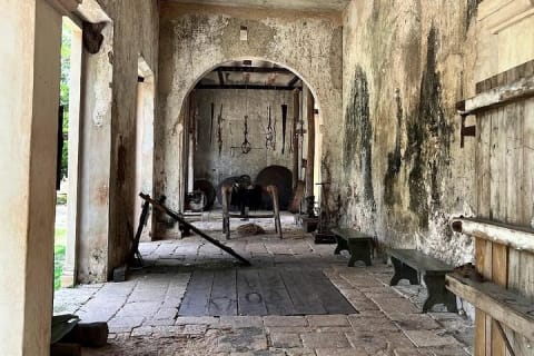 Mérida : excursion à l'Hacienda Mucuyché et aux cenotes — photo 7