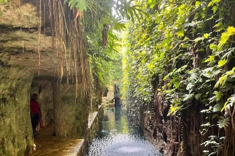 Mérida : excursion à l'Hacienda Mucuyché et aux cenotes — photo 10