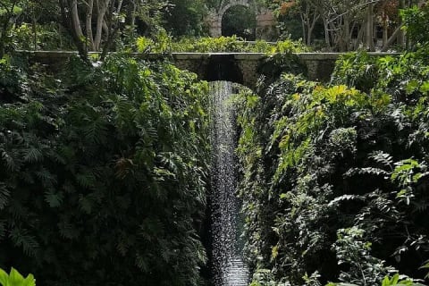Mérida : excursion à l'Hacienda Mucuyché et aux cenotes — photo 2