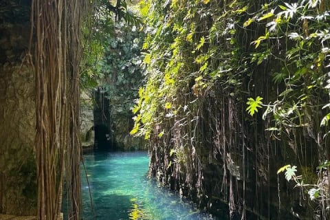 Mérida : excursion à l'Hacienda Mucuyché et aux cenotes — photo 3