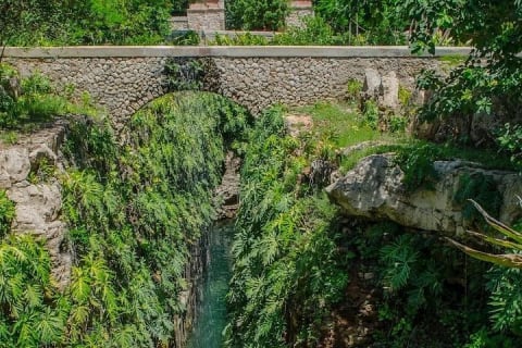 Mérida : excursion à l'Hacienda Mucuyché et aux cenotes — photo 8