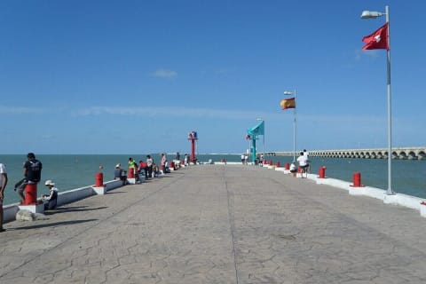Aventura por la costa norte: Isla Columpio, Puerto Progreso y Chuburná — photo 3