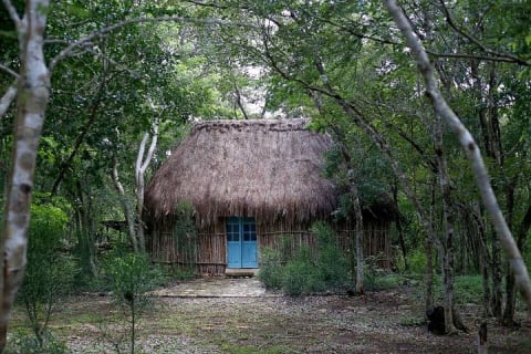 4 Cenotes Tour in Homún (Every day) — photo 4