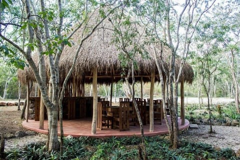4 Cenotes Tour in Homún (Every day) — photo 5