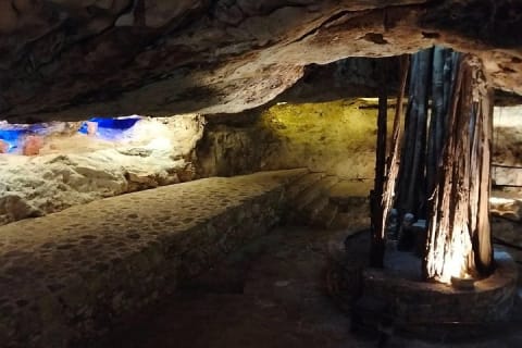 4 Cenotes Tour in Homún (Every day) — photo 9