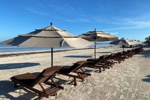 Holbox Island Tour Punta Mosquito Local Culture and Lunch — photo 14