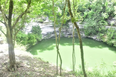Full Day Tour to Chichén Itzá 2 Cenotes Valladolid from Tulum — photo 12