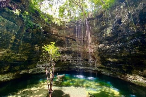 Visit Chichén Itzá, Cenote and Valladolid. Transport included — photo 12