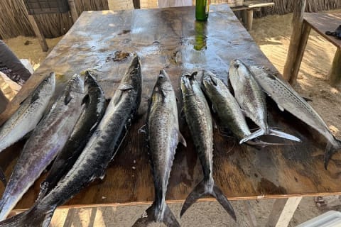 Full Day Private Deep Sea Fishing in Holbox — photo 15