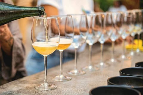 Cata de vinos mexicanos y experiencia sensorial de aromas — photo 3